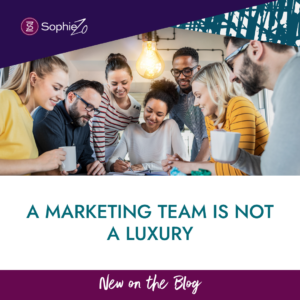 A Marketing Team is NOT a Luxury